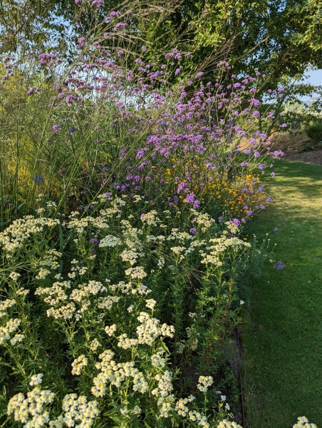 Glenholme Herbs